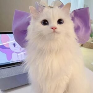The Marie Muse Bow