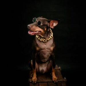 Luxe Cuban Link Dog Collar
